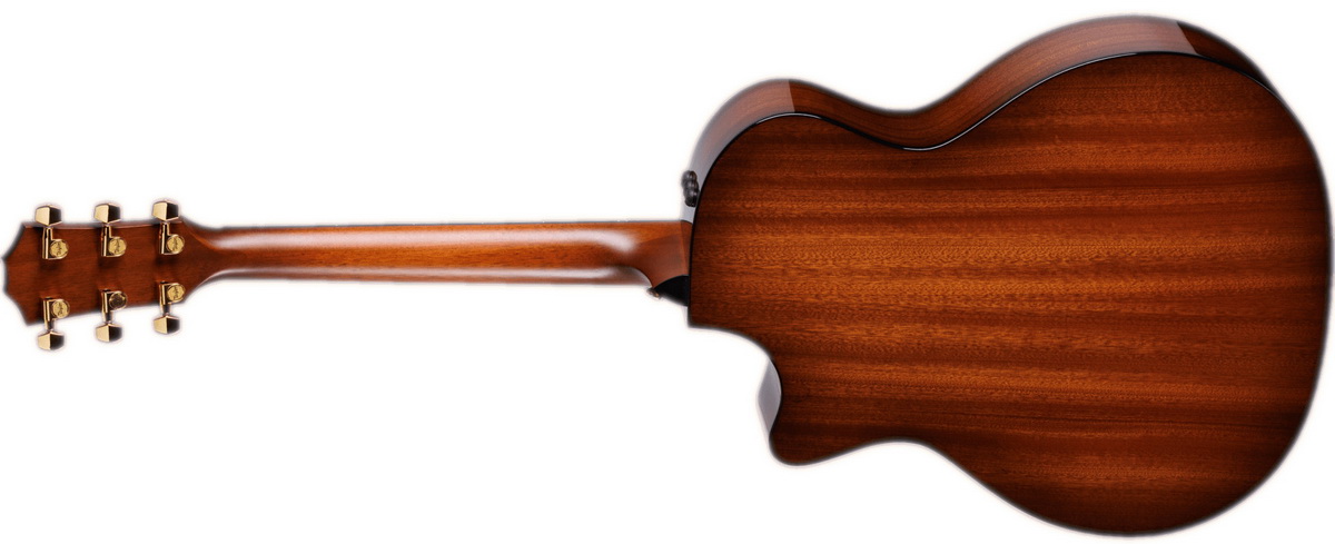 taylor 314ce 1209143106 backleft 2023 1200x