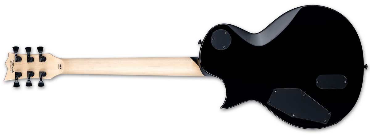 WA WARBIRD Black rear resize