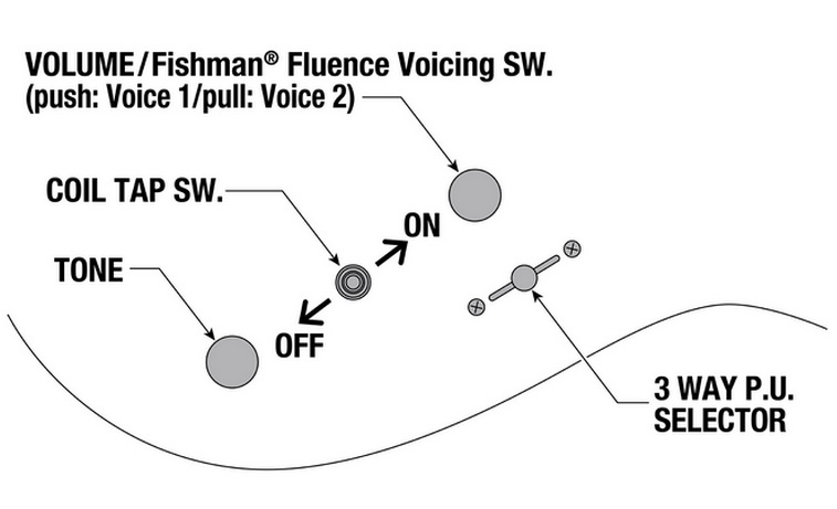 image voices 750x