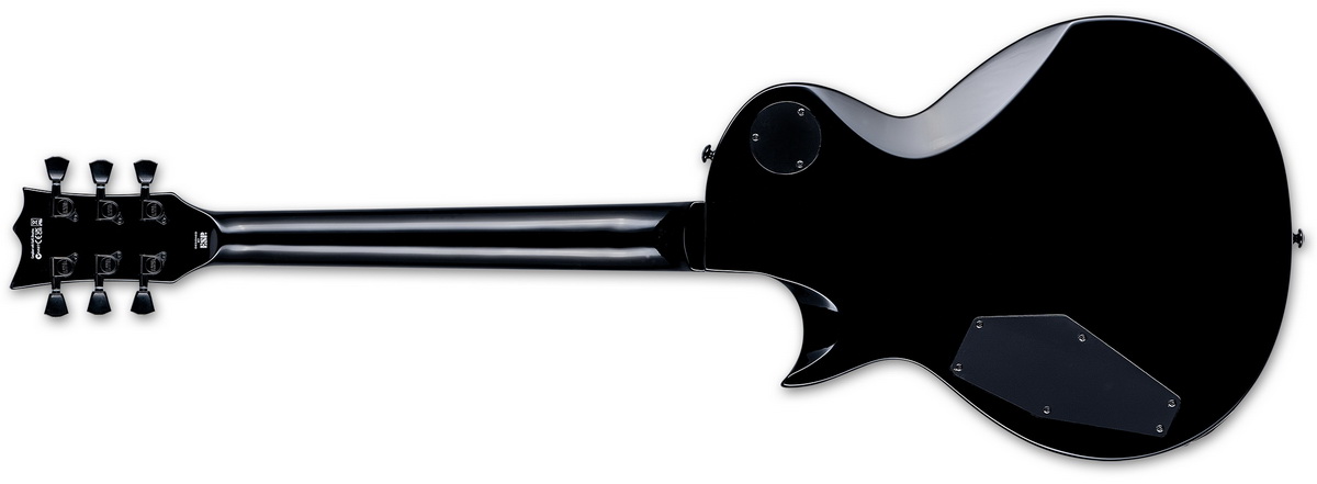 EC 256 Silver Sunburst rear resize