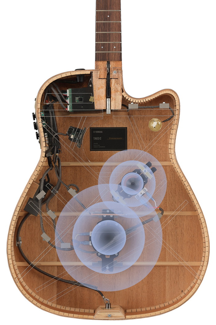 2410100113 inner side 750x