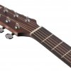 Ibanez AAD
