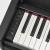 Yamaha Arius 2022