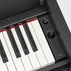 Yamaha Arius 2022